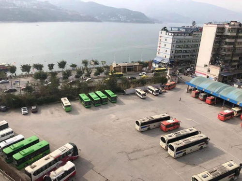 春运出行必备 奉节县汽车客运公司班次表全面指南